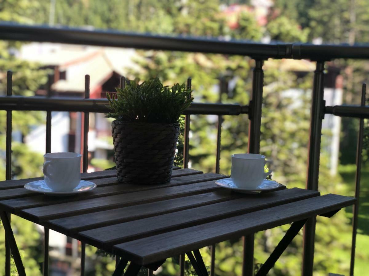 Deluxe 707 Apartment โบโรเวทส์ ภายนอก รูปภาพ